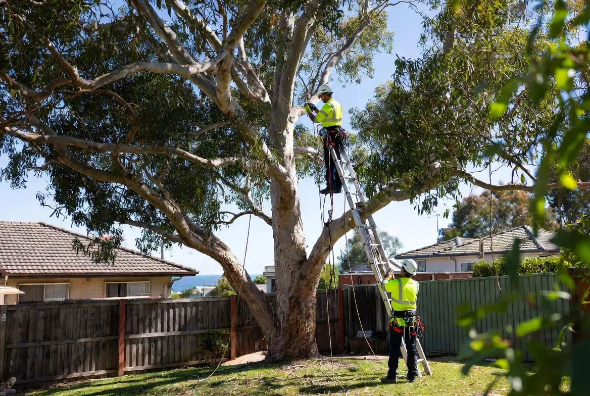 Tree Pruning